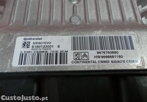 imagem_3