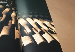 imagem_6