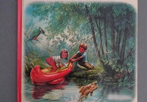 Livro Verbo Infantil - Passeio no rio