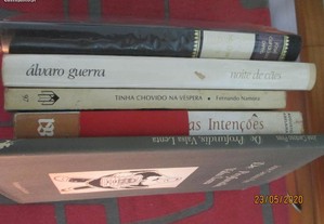 imagem_2
