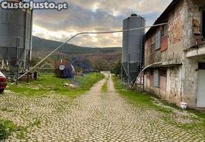 imagem_7