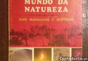 imagem_8