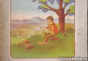 imagem_1