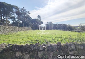 imagem_21