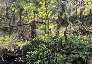 Terreno Rustico Em Vieira Do Minho