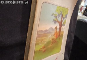 imagem_2