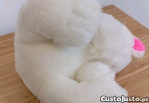 imagem_7