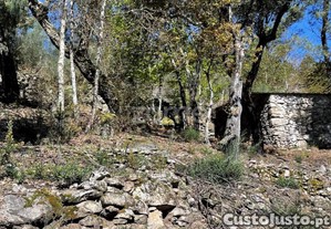 Terreno Rústico Em S. Jorge Arcos De Valdevez
