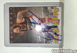 imagem_2