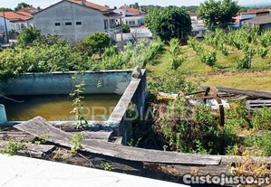 imagem_24