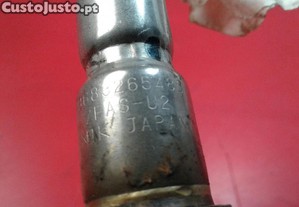 imagem_5