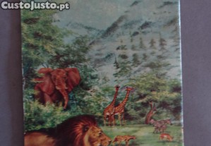 imagem_2