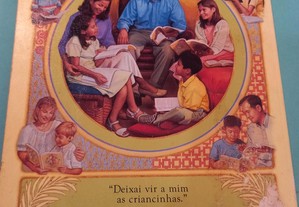 imagem_6