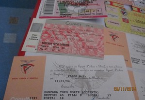 imagem_7