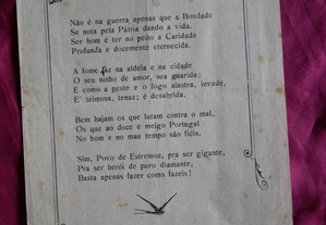 imagem_8