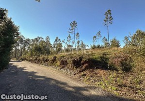 Terreno Rustico Com 22500 M2, Em Argoncilhe,...