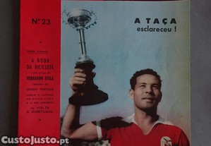 imagem_1