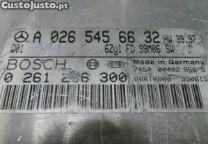 imagem_2