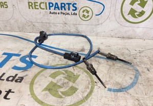 Sonda de temperatura filtro de partículas Ford Transit Connect 1.6 TDCi 