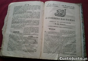 imagem_8