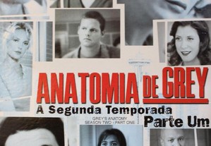 Série Dvd Anatomia de Grey-A 2ª Temporada Parte 1