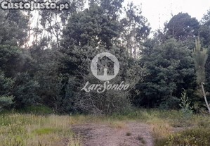 imagem_28