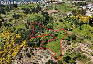 Terreno De 4437M2 Com Ruína, Santa Marta De...