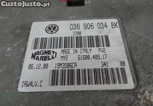imagem_3