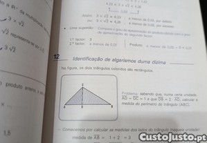 imagem_4