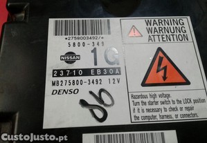 imagem_3