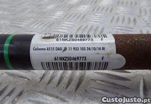 imagem_7