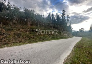 Terreno Rustico Em Fonte Arcada E Oliveira...