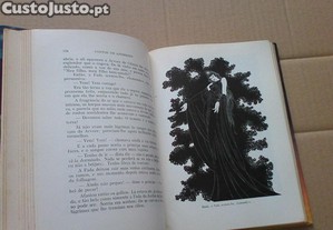 imagem_8