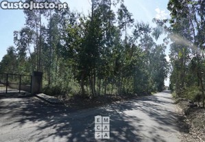 Pavilhão Industrial Para Construção, Na Zona...