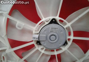 imagem_2