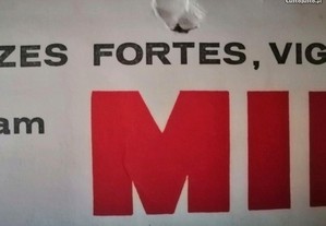imagem_8