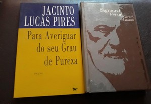 Obras de Jacinto Lucas Pires e Gérard Lauzun