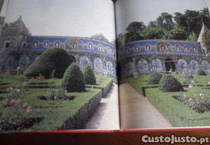 imagem_6
