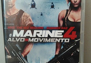 imagem_2