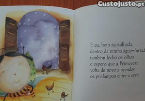 imagem_8