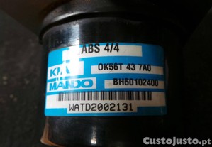 imagem_3