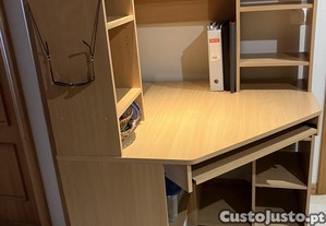 imagem_1