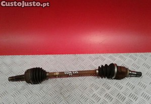 imagem_1