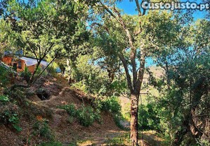 Terreno T1 em Marmelete de 40400,00 m²