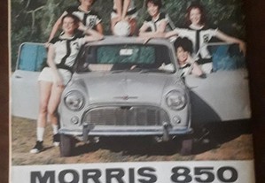 imagem_6