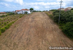imagem_4