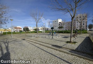 imagem_8