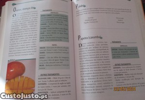 imagem_7