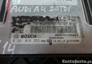 imagem_3