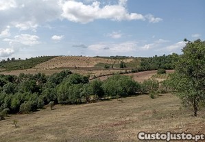 Terreno Rstico